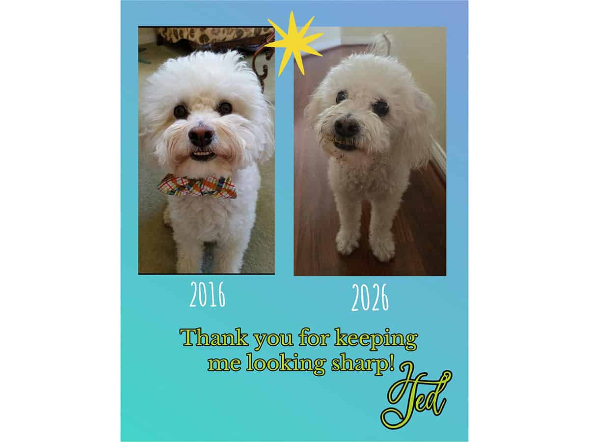Teddy in 2016 and 2026