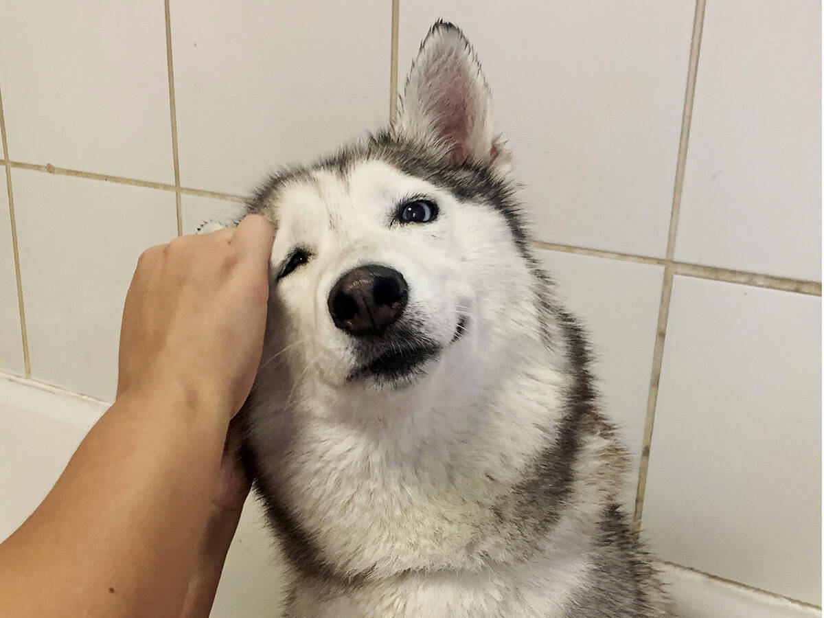 Sky in the self-wash tub in 2026