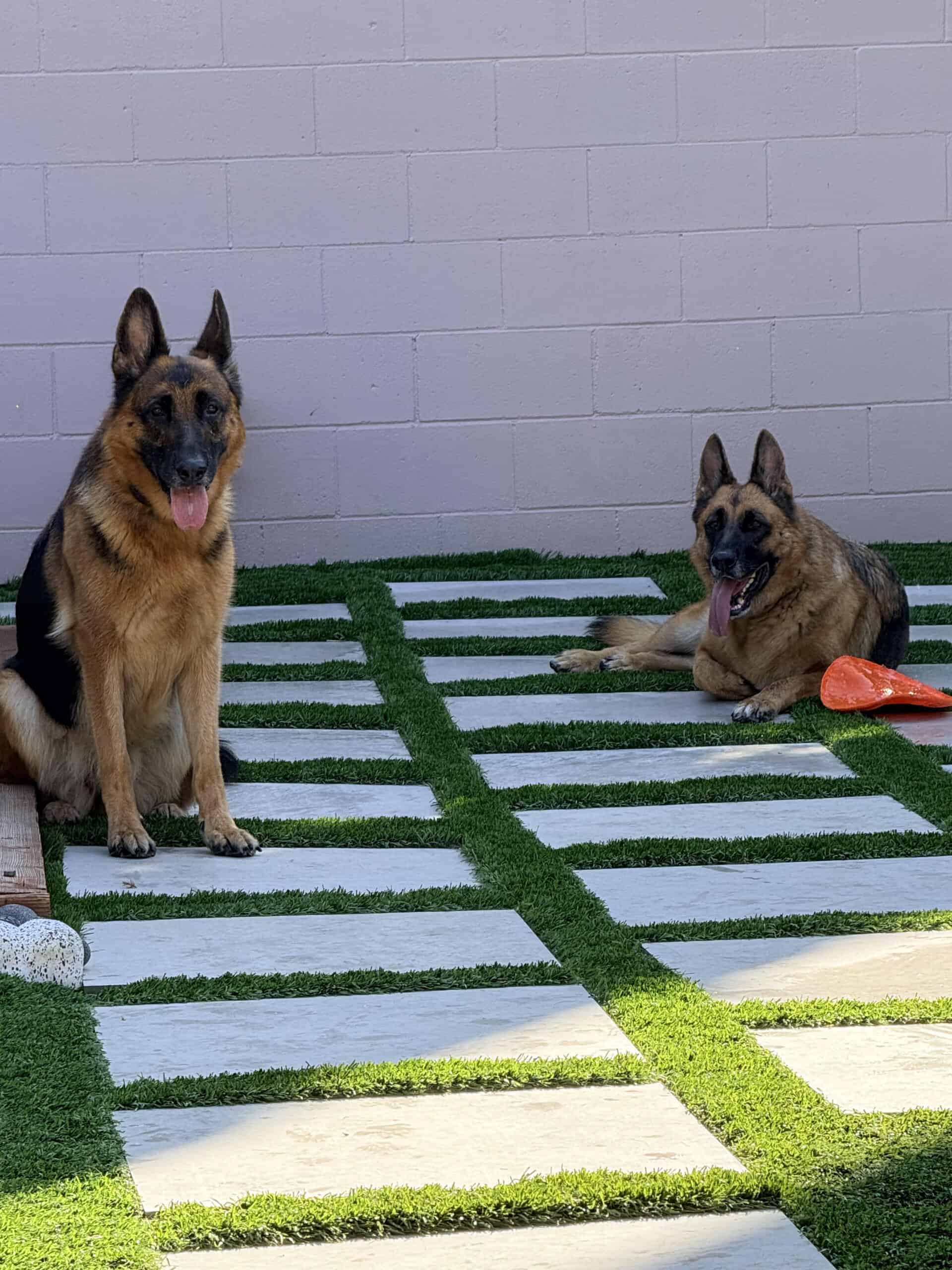 Zuri and Dakota